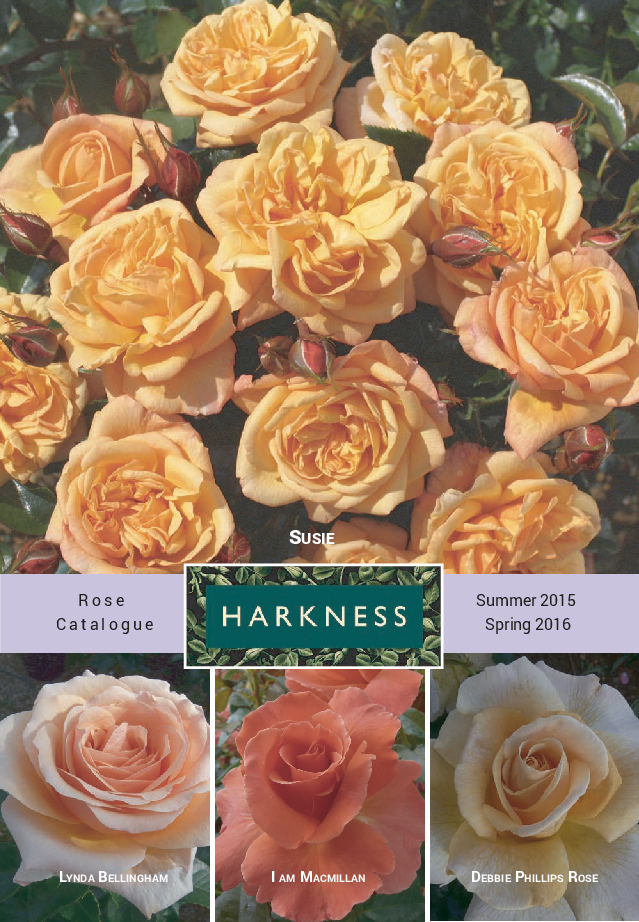 Rose Catalogue