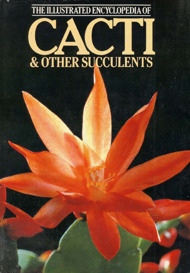 Illustrated Encyclopedia of Cacti and Other Succulents