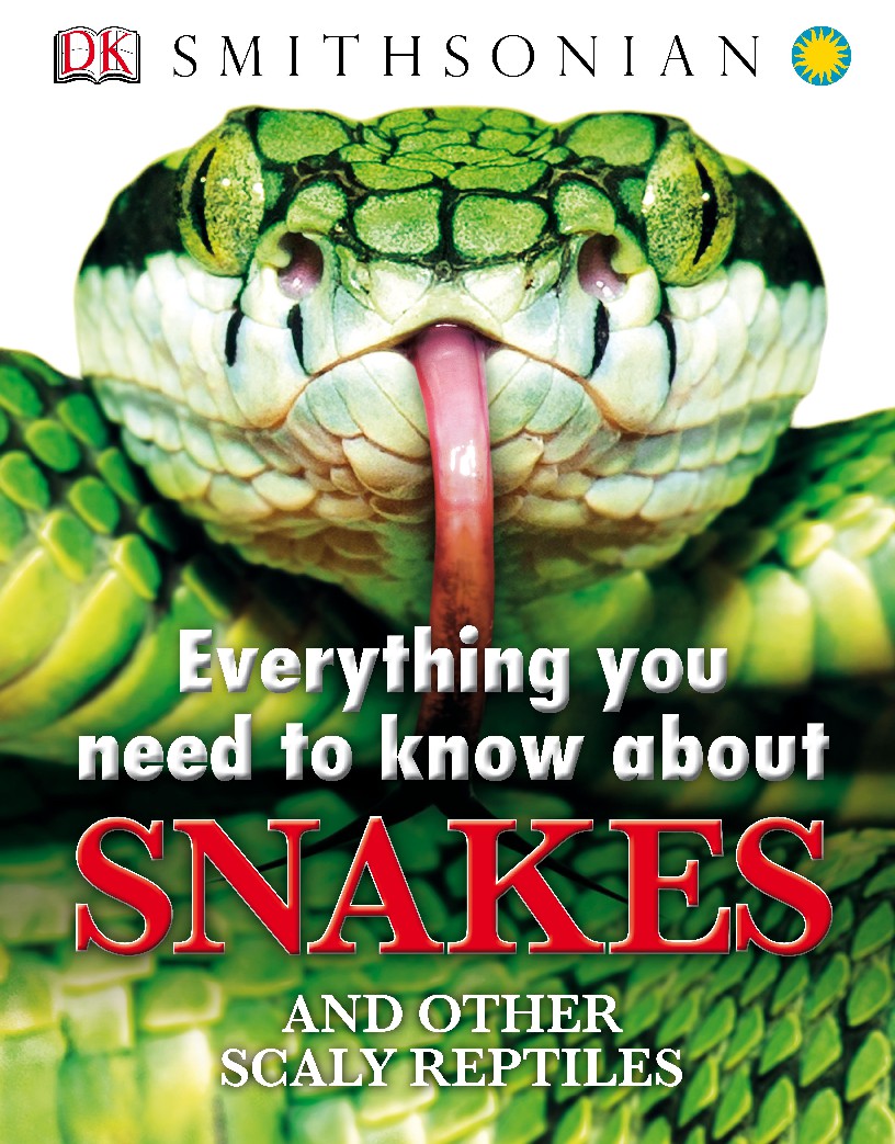 Everything you need to know about Snakes