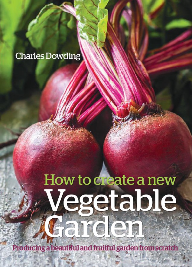 How to Create a New Vegetable Garden Producing a Beautiful and Fruitful Garden from Scratch