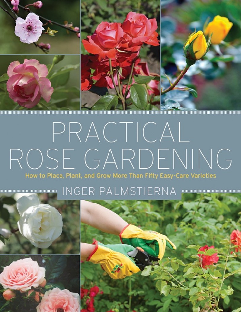 Practical Rose Gardening