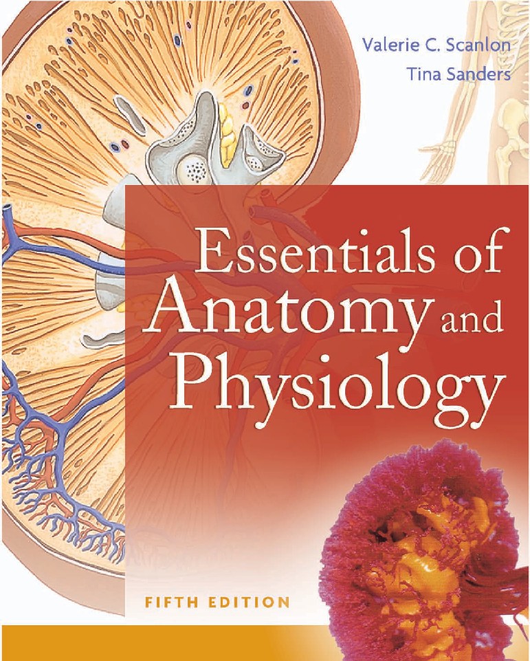 Essentials of Anatomy and Physiology