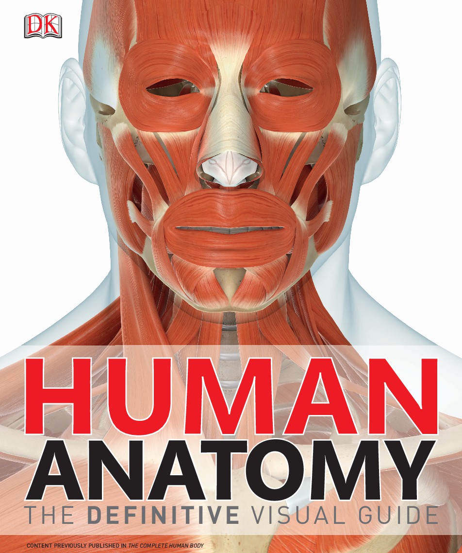 Human anatomy the definitive visual guide