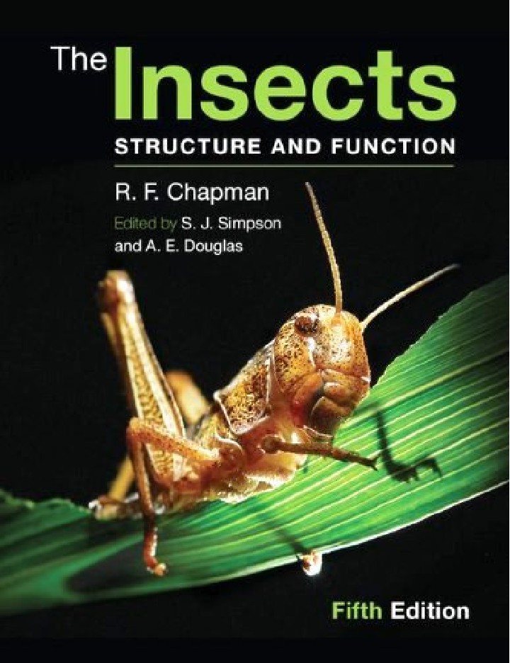 The Insects Structure and Function