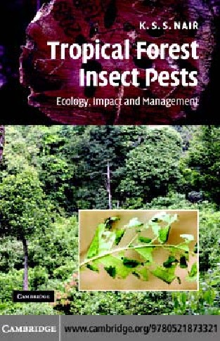 Tropical Forest Insect Pests