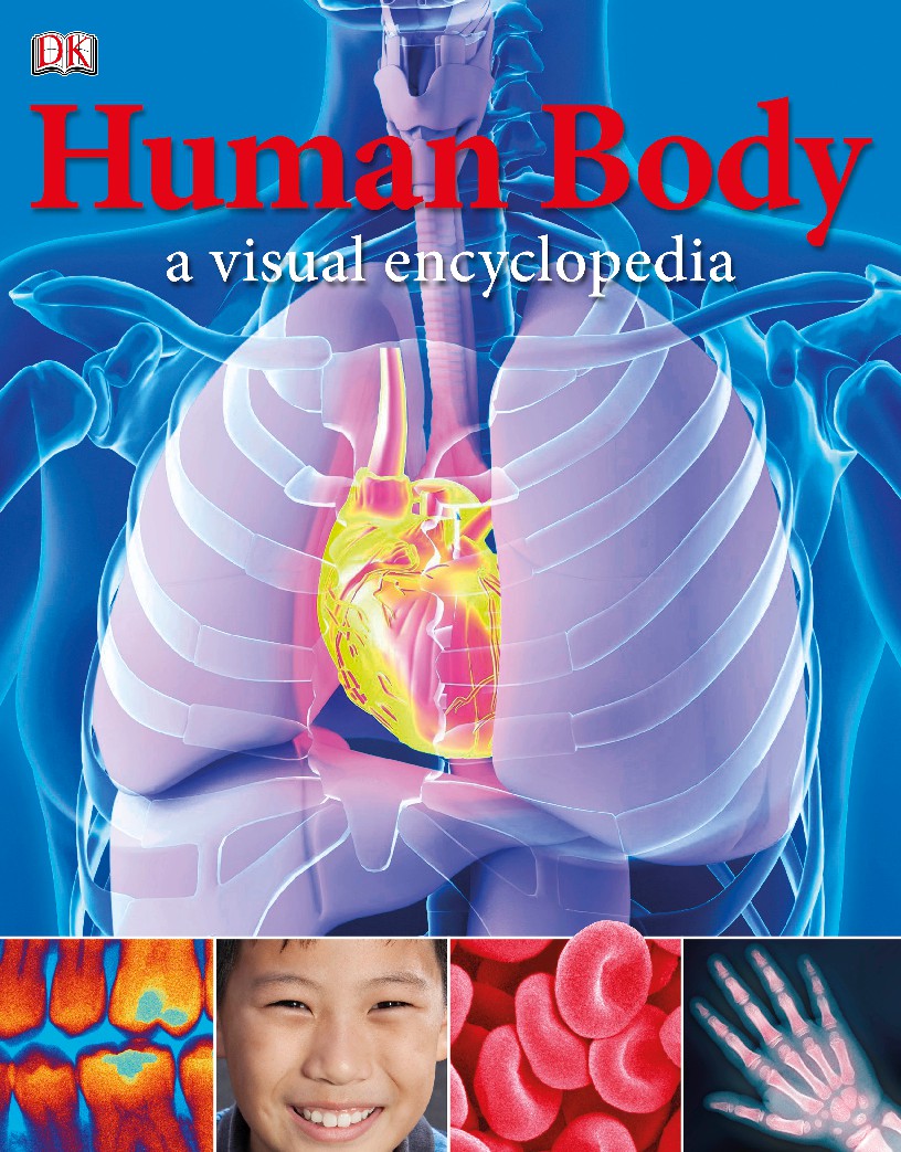 Human body a visual Encyclopedia