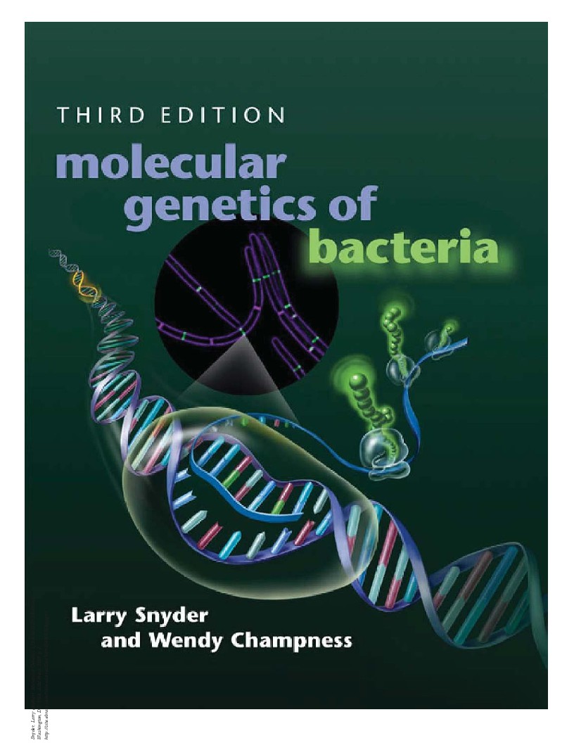Molecular Genetics of Bacteria 3rd Ed
