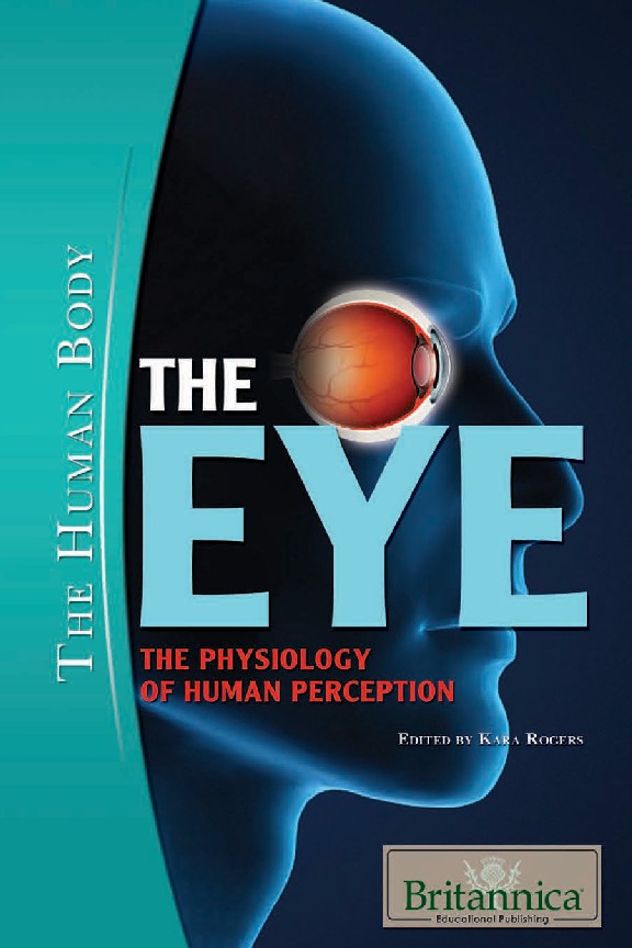 The Eye The Physiology of Human Perception