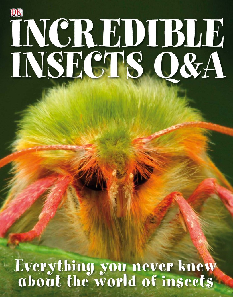 Incredible Insects Q  A