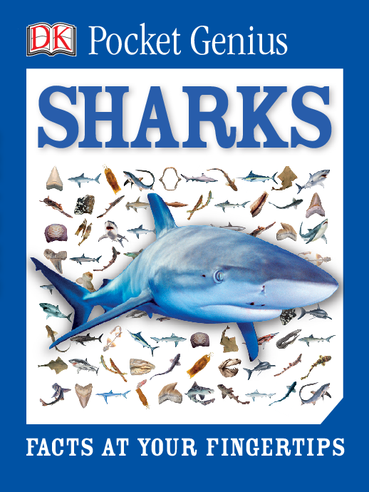 Sharks facts at your fingertips