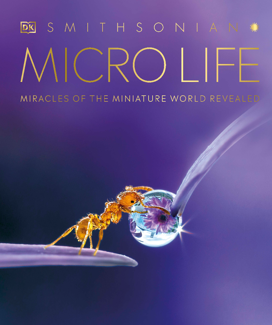 Micro Life Miracles of the Miniature World Revealed