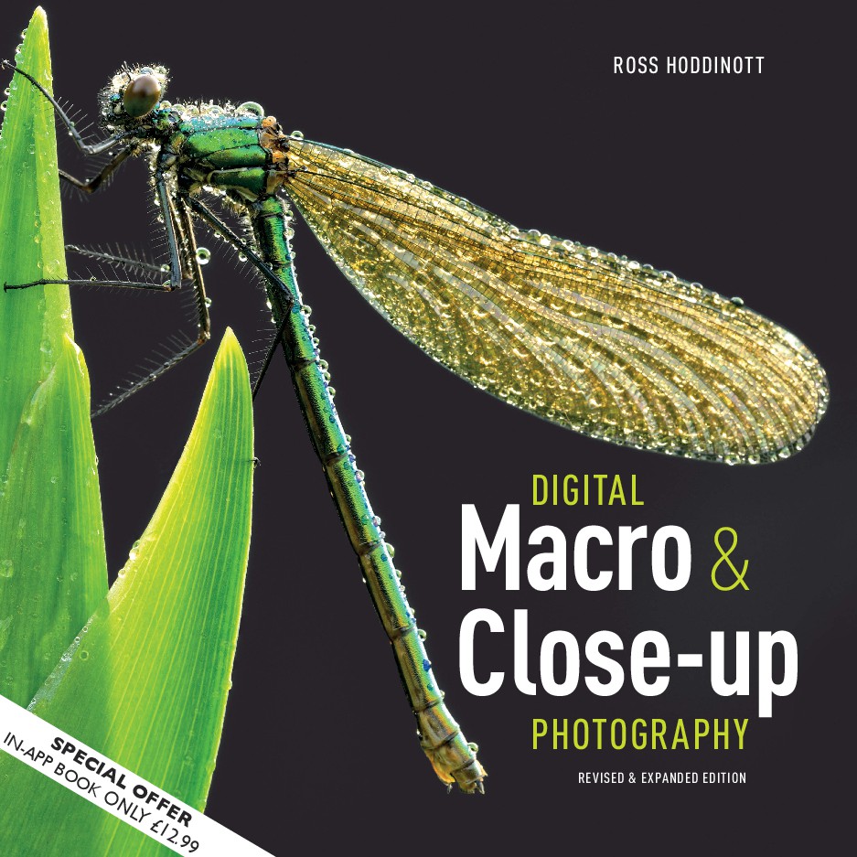 Digital Macro  Close-up Photography