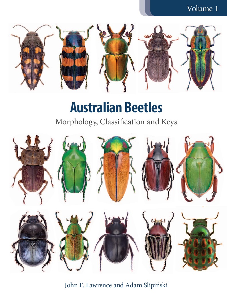Australian Beetles Volume 1  Morphology, Classification and Keys