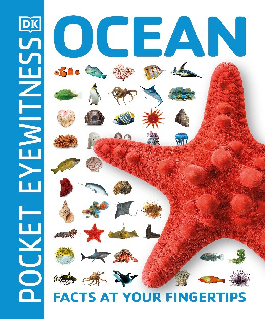 Ocean Pocket Eyewitness