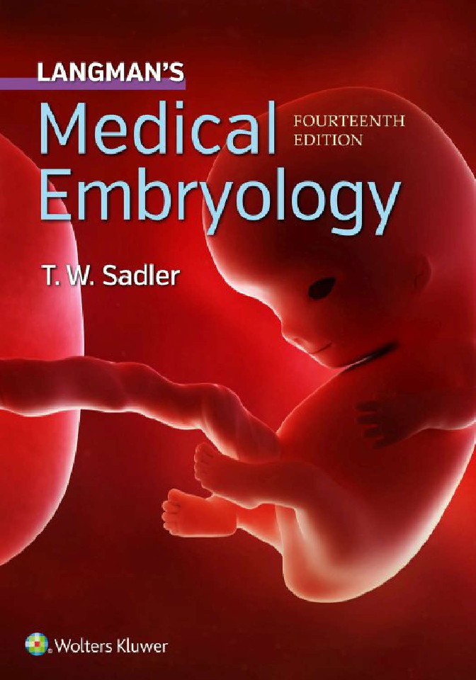 Medical Embryology