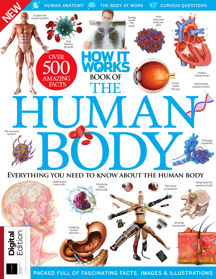How It Works - Book of the Human Body, 17th Edition 2022