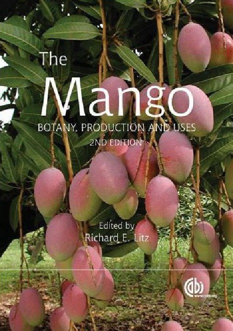 The Mango by Richard E Litz