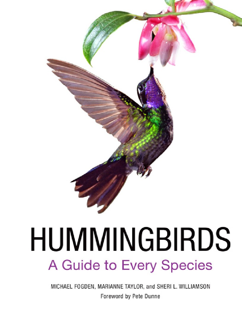 Hummingbirds  A Guide to Every Species