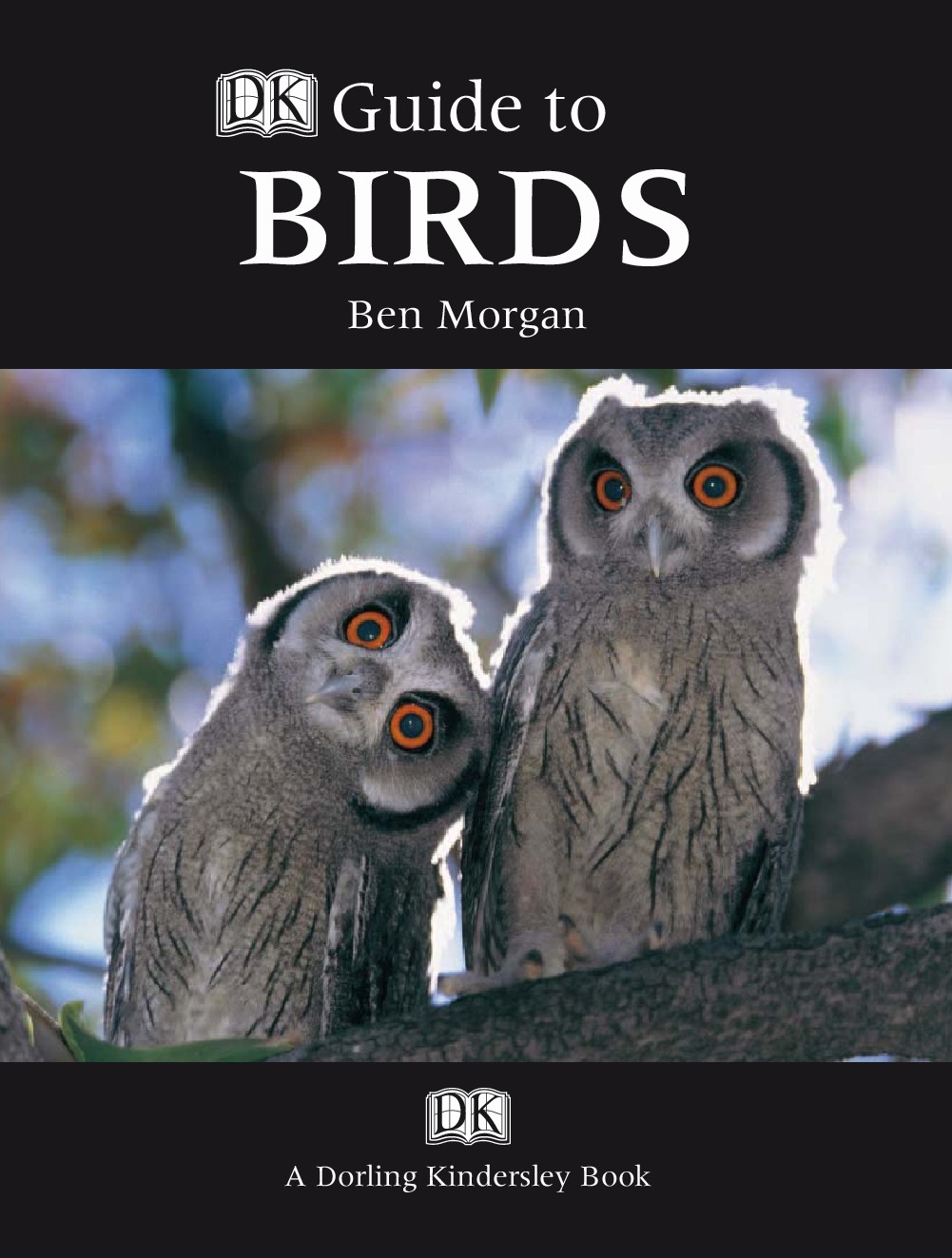 DK Guide to Birds (Ben Morgan)