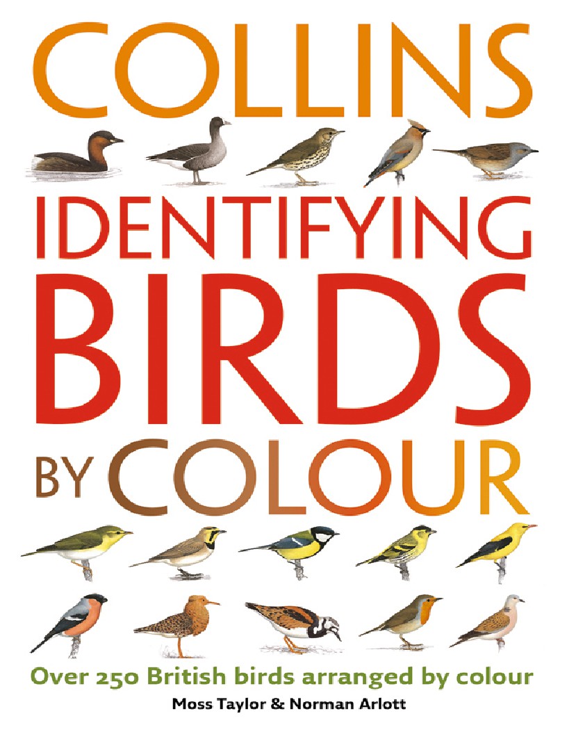 Identifying Birds by Colour