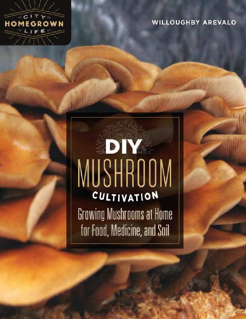 DIY Mushroom