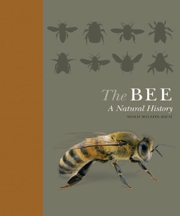 The Bee A Natural History (Noah Wilson-Rich, Kelly Allin, Norman Carreck