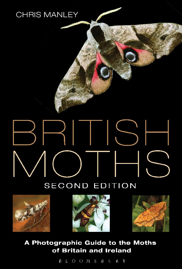 British Moths 2nd Ed