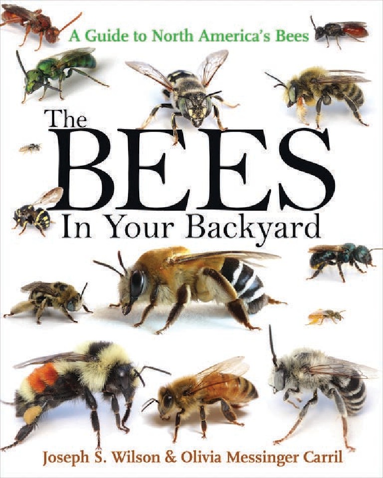 The bees in your backyard  a guide to North Americas bees by Joseph S