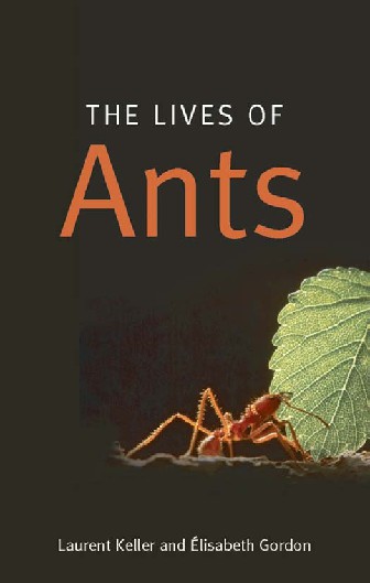 The Lives of Ants (Laurent Keller, Elisabeth Gordon)