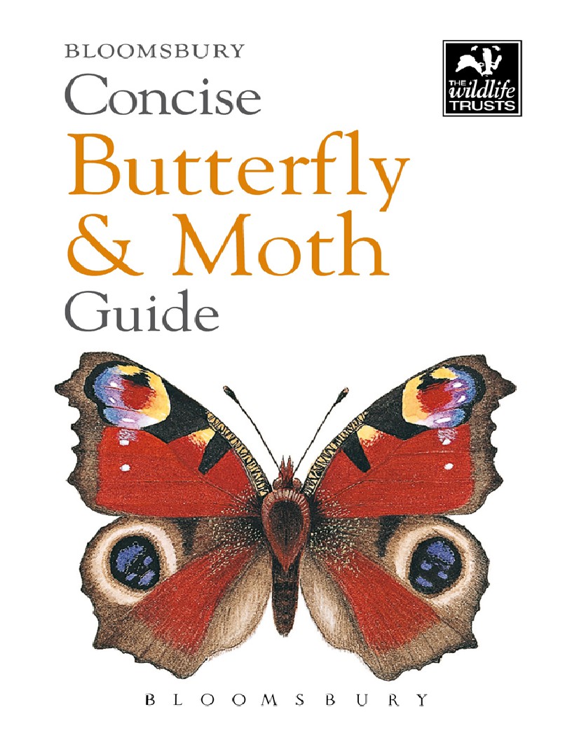Concise Butterfly and Moth Guid - Bloomsbury Publishing