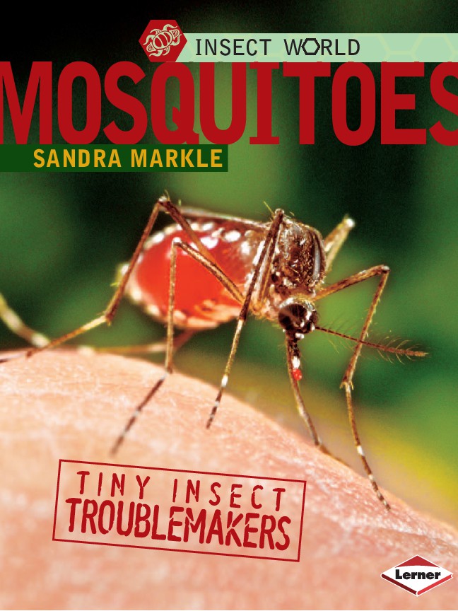 Mosquitoes Tiny Insect Troublemakers (Insect World)