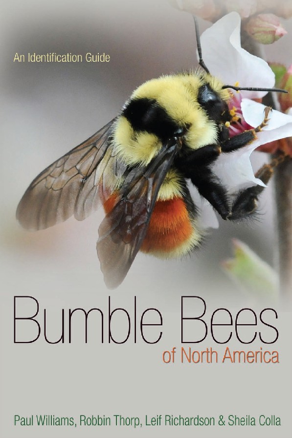 Bumble bees of North America an identification guide (Colla, SheilaRichardson, LeifThorp etc