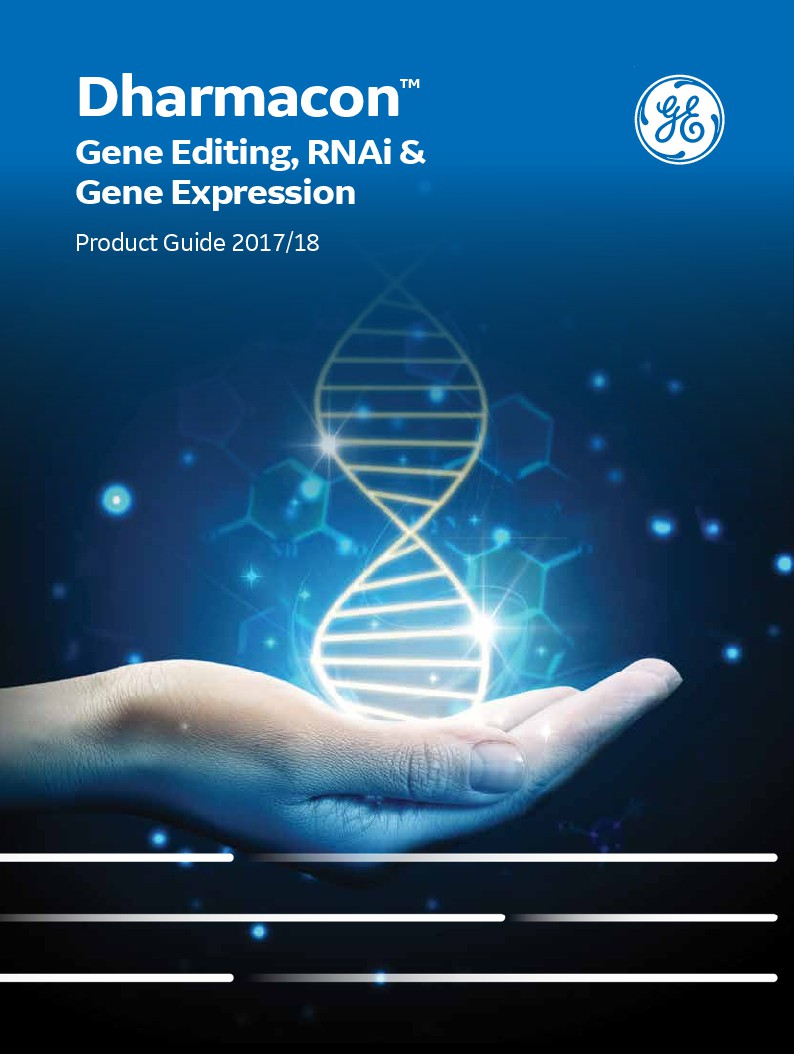 Gene Editing, RNAi & Gene Expression