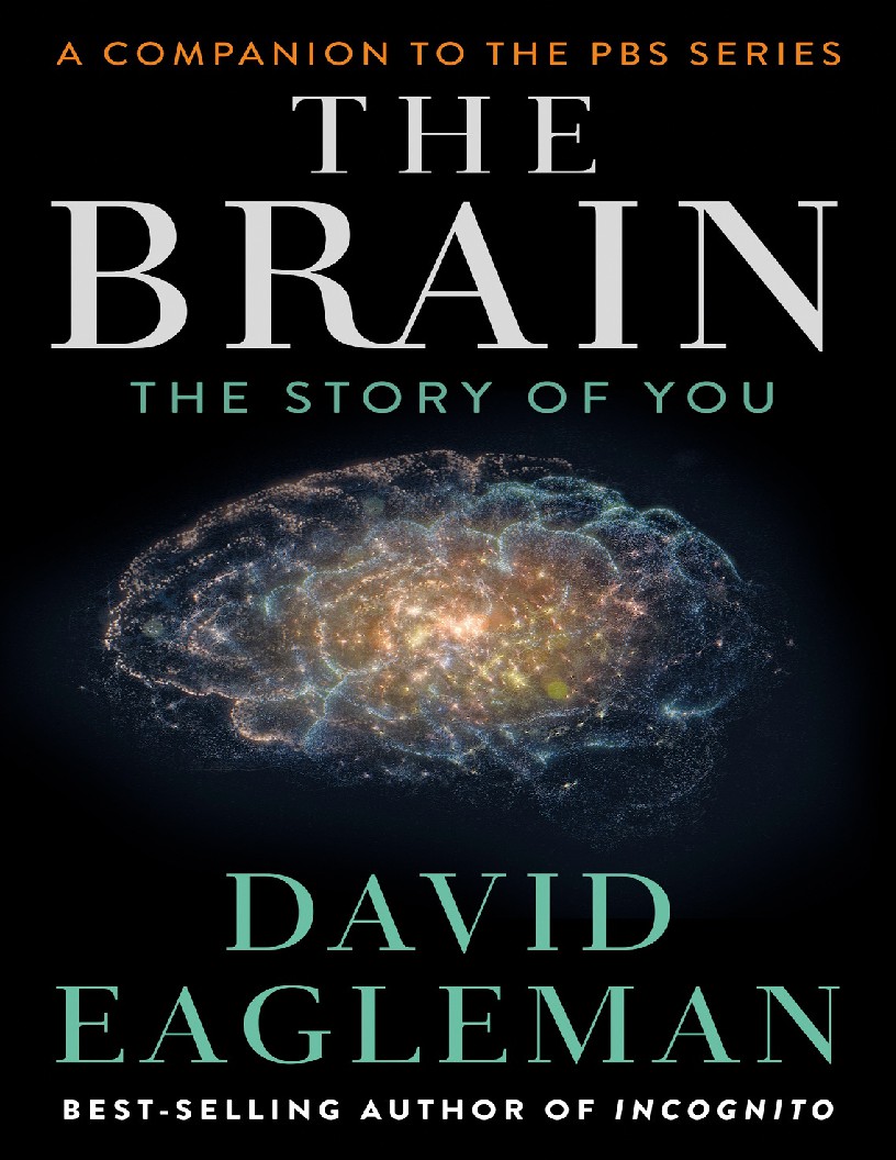 The BrainThe Story of You