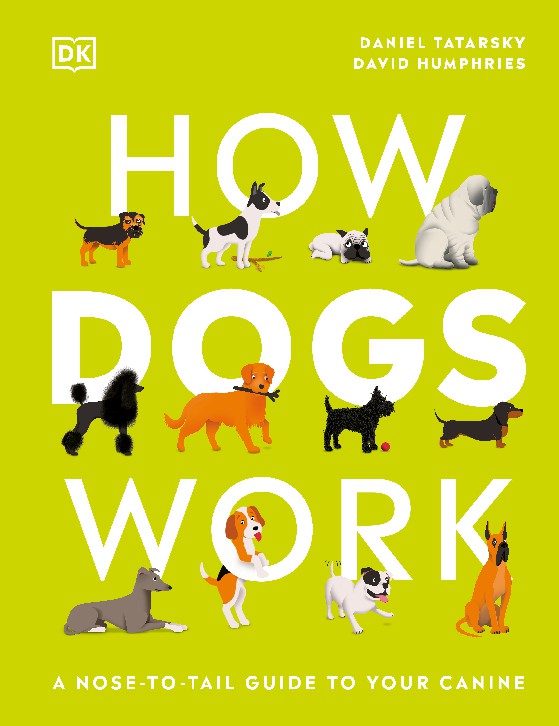 How Dogs Work A Head-to-Tail Guide to Your Canine