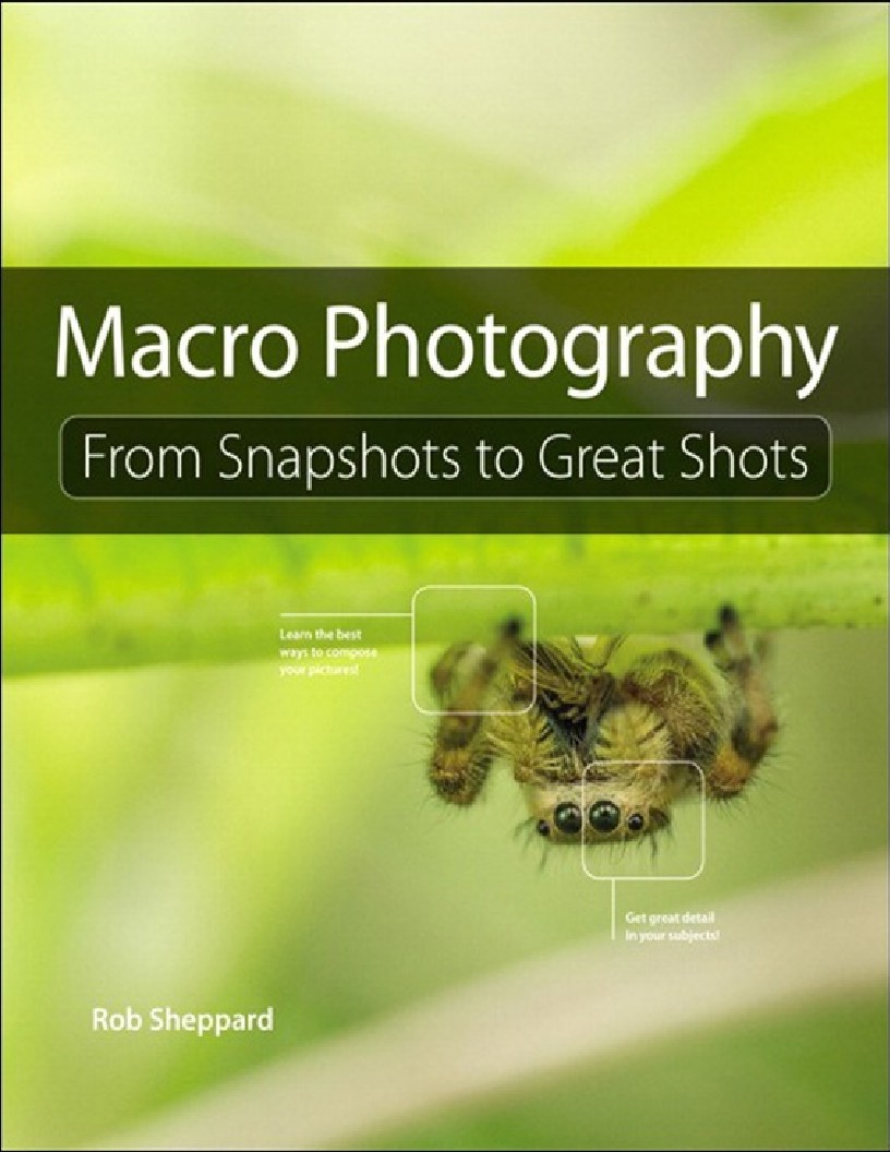 Macro Photography