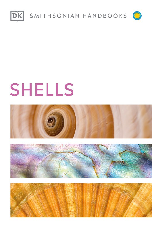 Shells DK