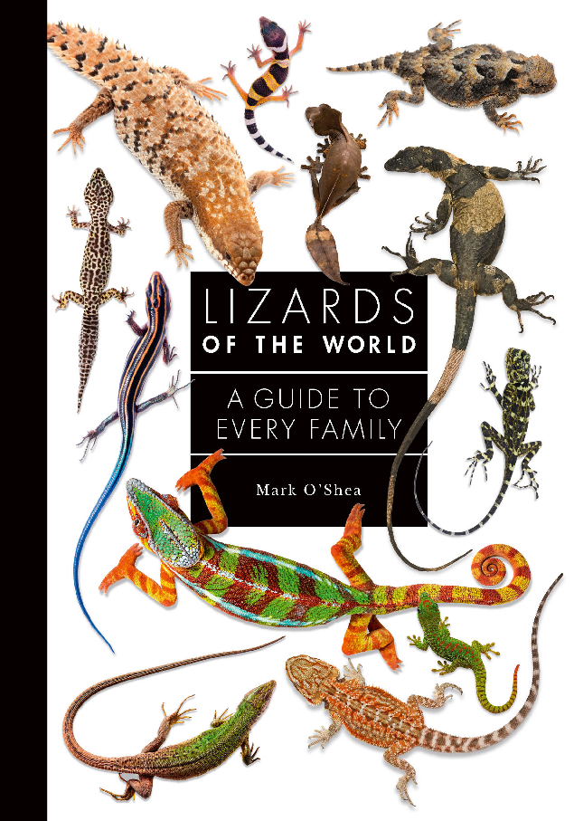 Lizards of the World A Guide to Every Family (Mark OShea)