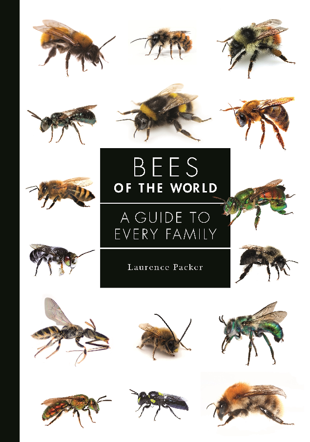 Bees of the World (Laurence Packer)