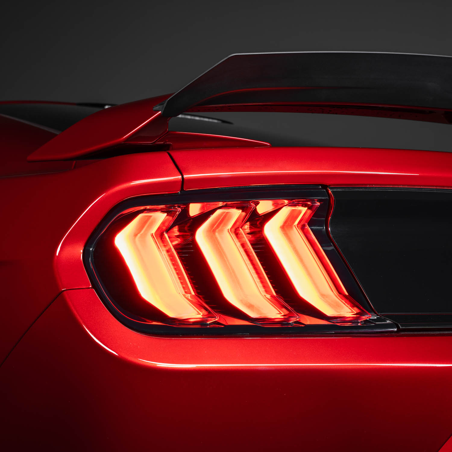 Product photo 3 - FL0006