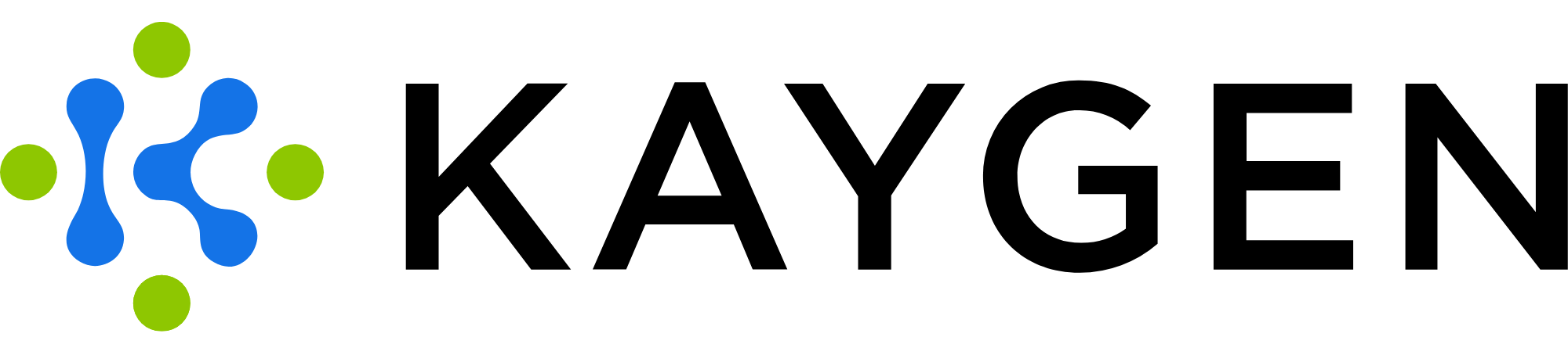 KAYGEN KAYGEN