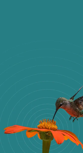 banner two mobile