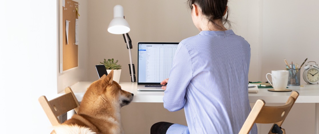 Young woman working from home with her dog at her side