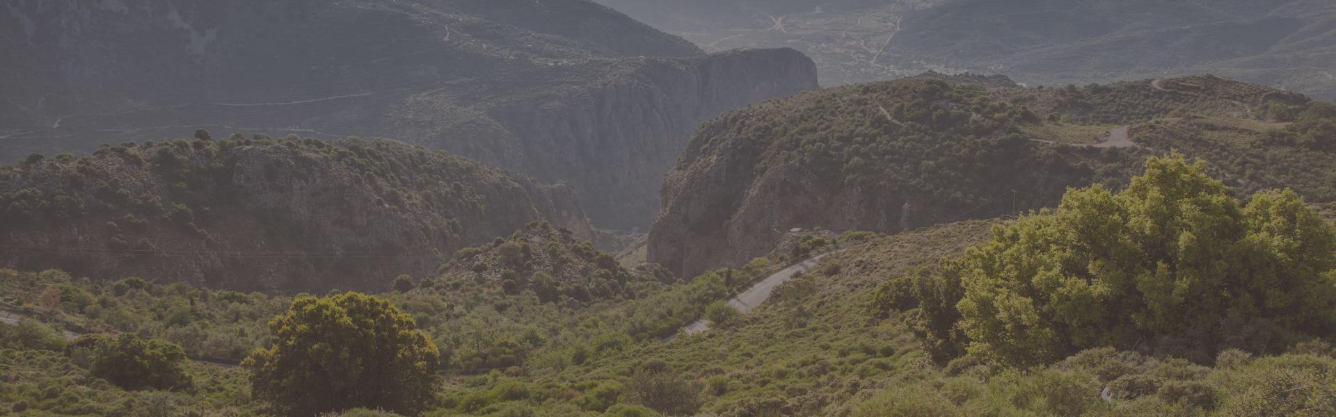 Μπορείτε επίσης να αναζητήσετε ευκαιρίες ενοικίασης αυτοκινήτου μέσω της concierge εφαρμογής που σας δείχνει τη διαθεσιμότητα ζωντανά και δίνει τη δυνατότητα να κάνετε κράτηση online.