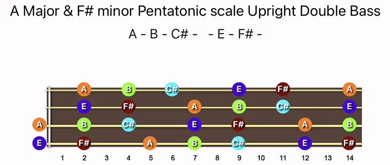 A Major & F♯ minor Pentatonic scale notes on a Upright Double Bass fingerboard