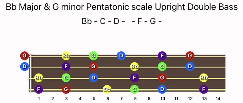 B♭ Major & G minor Pentatonic scale notes on a Upright Double Bass fingerboard