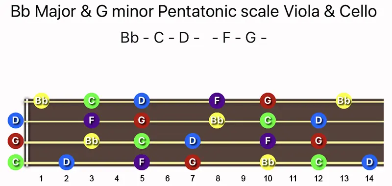 B♭ Major & G minor Pentatonic scale notes on a Viola & Cello fingerboard