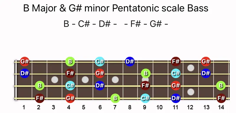 B Major and G♯ minor Pentatonic scale notes on Bass fretboard