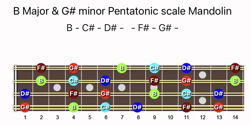 B Major & G♯ minor Pentatonic scale notes on a Mandolin fretboard