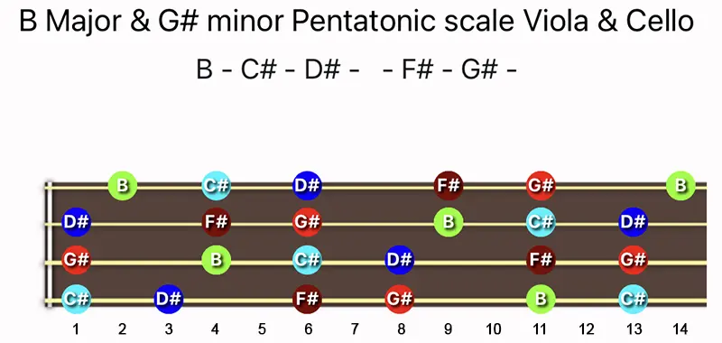 B Major & G♯ minor Pentatonic scale notes on a Viola & Cello fingerboard